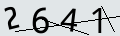 verifycode